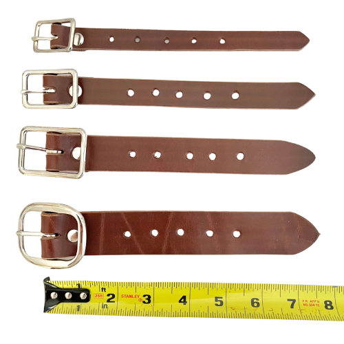 Four sizes of buckle straps next to ruler to see strap length